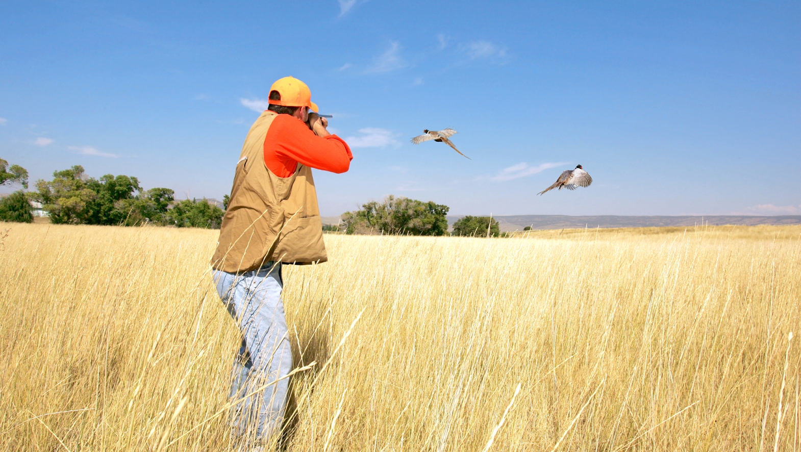 Luxury, members-only guided pheasant hunting experiences