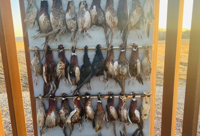 A successful days hunt