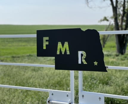 Field gate