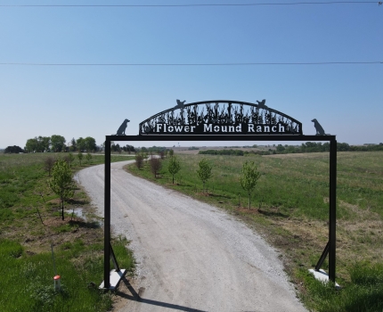 Outside front gate